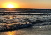 Venice Beach景点图片