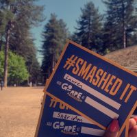 曼斯费尔德图片