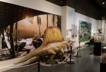 Neville Public Museum景点图片