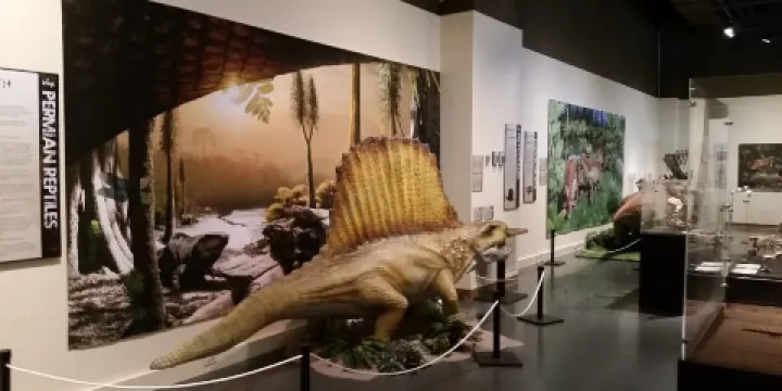 Neville Public Museum