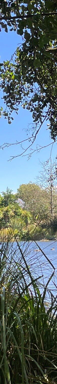 梦娜维尔花园-基督城