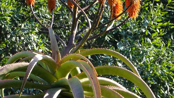 Queen Elizabeth Park