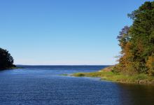 South Toledo Bend State Park景点图片