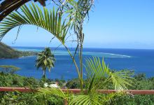 Moorea Tropical Garden景点图片