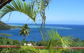 Moorea Tropical Garden