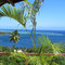 Moorea Tropical Garden