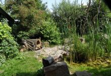 Wildkatzendorf Hutscheroda景点图片