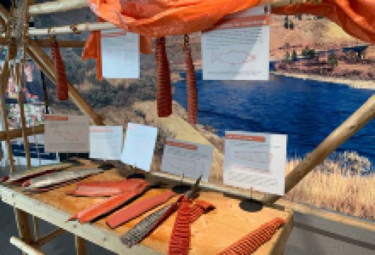 Fraser River Discovery Centre景点图片