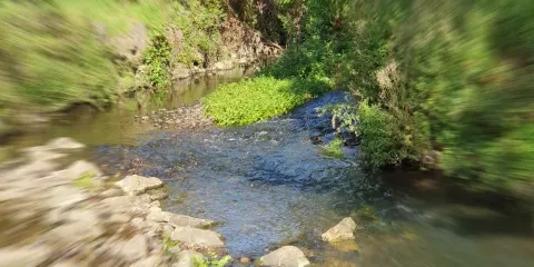 The Byes Riverside Park