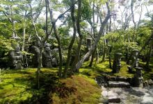 Matuyamateien Art Museum景点图片
