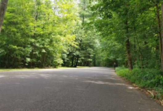 Buhl Park景点图片