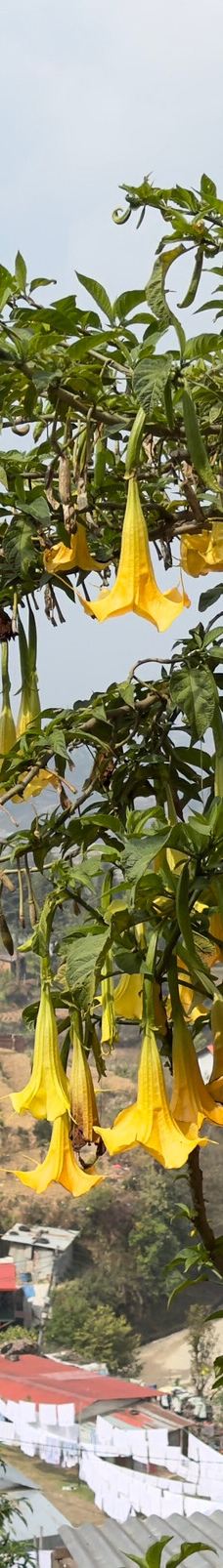 Nagarkot Geodetic Survey Tower-Kavrepalanchok