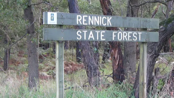Rennick State Forest