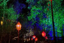 Woodford Folk Festival景点图片