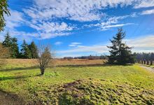 Greenbank Off-Leash Area景点图片