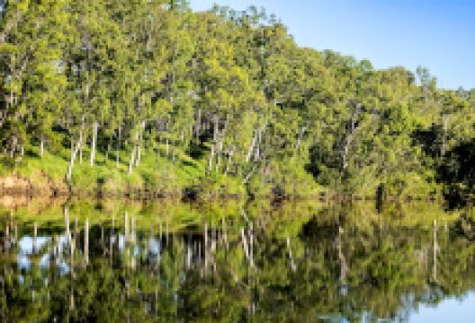 Wilsons Walkway Mt Ommaney Bushland Reserve景点图片