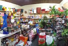 Trerlujoya购物图片