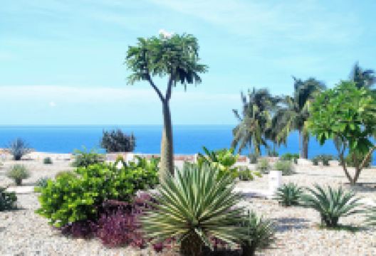 Corporativo Leslie购物图片