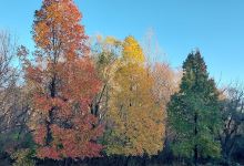Valley Creek Park景点图片