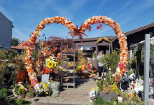 G+F Angyali Kertészet购物图片