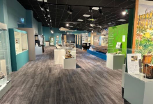 Chatham Islands Museum景点图片