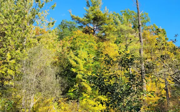 St. Johns Conservation Area