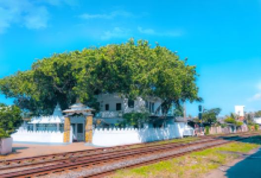 Kalyana Bodhi Purasaba Viharaya景点图片