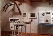 Schönbuchmuseum Dettenhausen景点图片