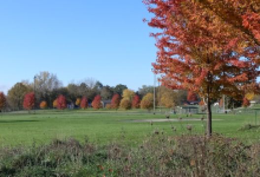 Showboat Park景点图片