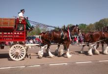 Henry County Fair Association景点图片