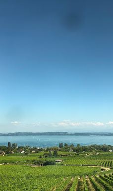 Domaine de Chambleau-Milvignes