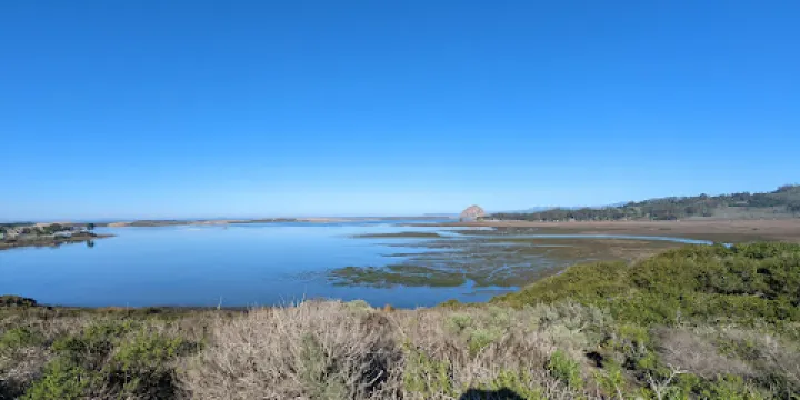 Elfin Forest Preserve