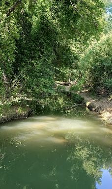 El Pinar del Rey-圣罗克