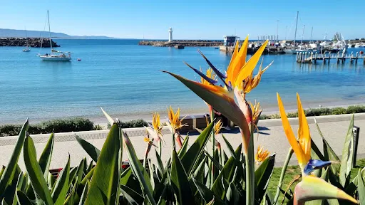 Brighton Beach