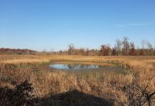 William J Robertson Nature Preserve (South Park / Lot C)景点图片