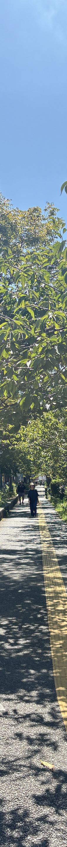 大濠公园-福冈-YoYo_6V5M1N4D