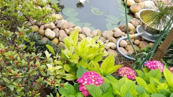 大清花園