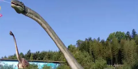 新化恐龍樂園（新化東方恆太城店）