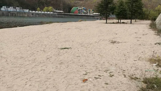 黃金沙灘