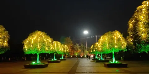 蒲陽綠蔭公園(長荊公園)