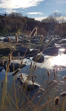 Cañadon Del Arroyo Calafate-阿根廷湖县