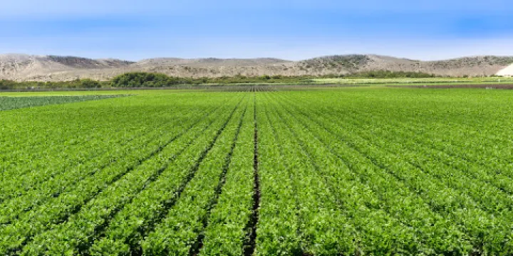 Salinas River National Wildlife Refuge