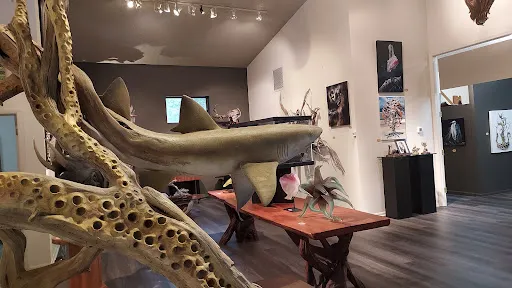 Baliker Gallery