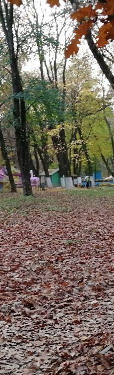 Bozdoshskiy Park-乌日霍罗德