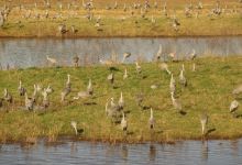 Wheeler National Wildlife Refuge Visitor Center景点图片
