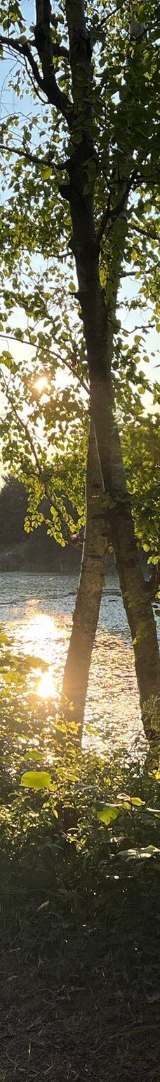 Pinery Provincial Park-大本德