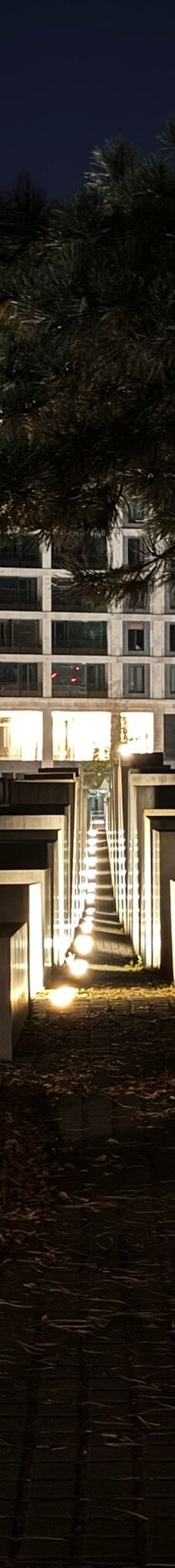 欧洲被害犹太人纪念碑-柏林