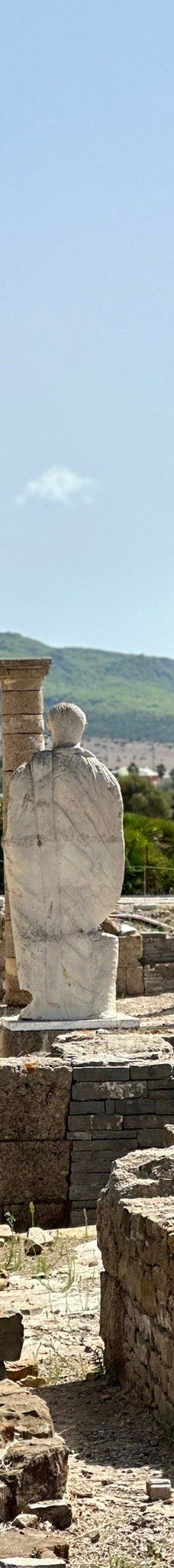 巴埃洛克劳狄亚-塔里法