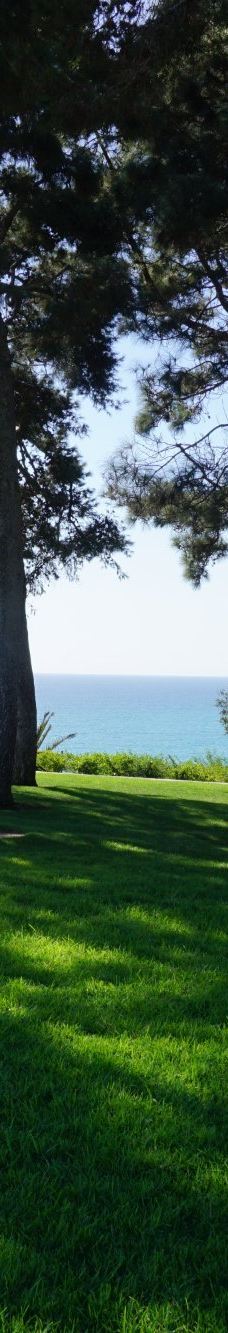 Pines Park-达纳点