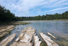 Falls Reserve Conservation Area景点图片